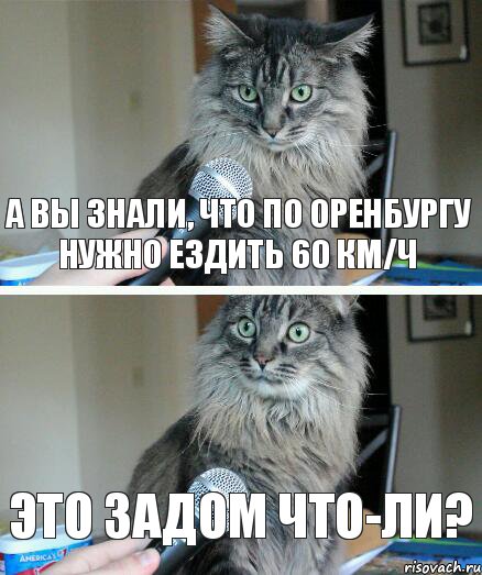 А вы знали, что по Оренбургу нужно ездить 60 км/ч Это задом что-ли?, Комикс  кот с микрофоном