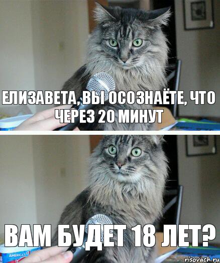 Елизавета, Вы осознаёте, что через 20 минут Вам будет 18 лет?, Комикс  кот с микрофоном