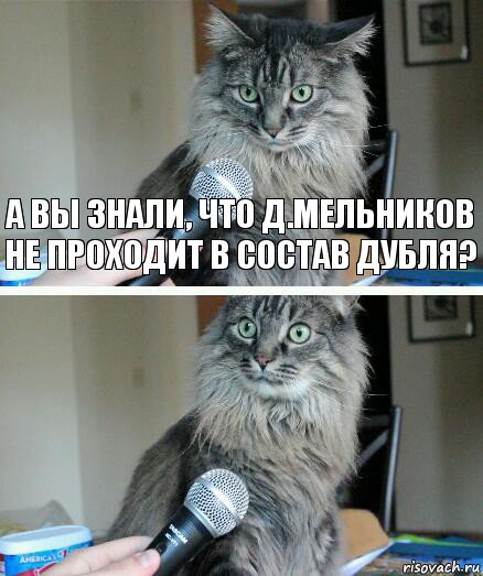 А Вы знали, что Д.Мельников не проходит в состав дубля? , Комикс  кот с микрофоном