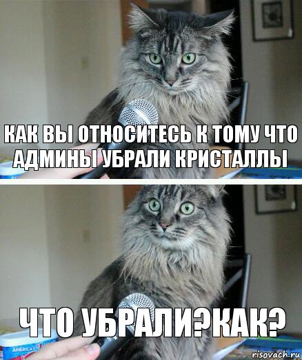 Как вы относитесь к тому что админы убрали кристаллы что убрали?Как?, Комикс  кот с микрофоном