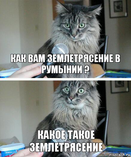 Как вам землетрясение в Румынии ? Какое такое землетрясение, Комикс  кот с микрофоном