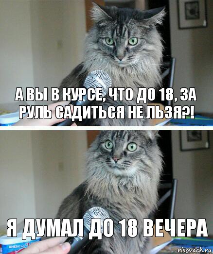 А ВЫ В КУРСЕ, ЧТО ДО 18, ЗА РУЛЬ САДИТЬСЯ НЕ ЛЬЗЯ?! Я ДУМАЛ ДО 18 ВЕЧЕРА, Комикс  кот с микрофоном