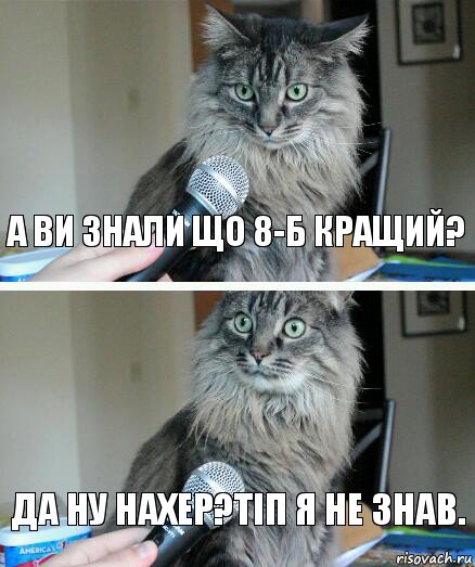 А ви знали що 8-Б кращий? Да ну нахер?Тіп я не знав., Комикс  кот с микрофоном