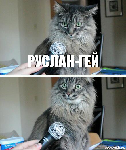 Руслан-гей , Комикс  кот с микрофоном