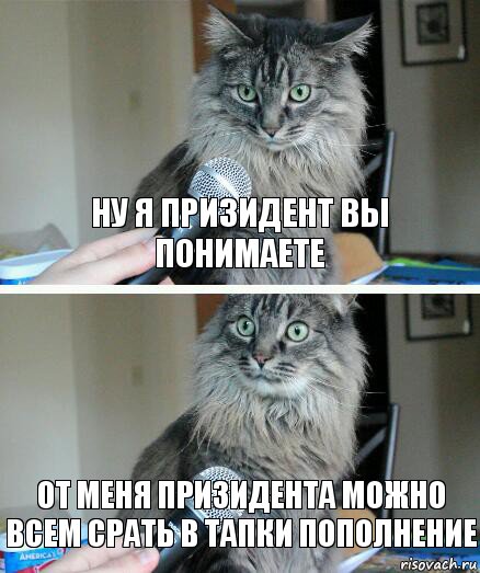 ну я призидент вы понимаете от меня призидента можно всем срать в тапки пополнение, Комикс  кот с микрофоном