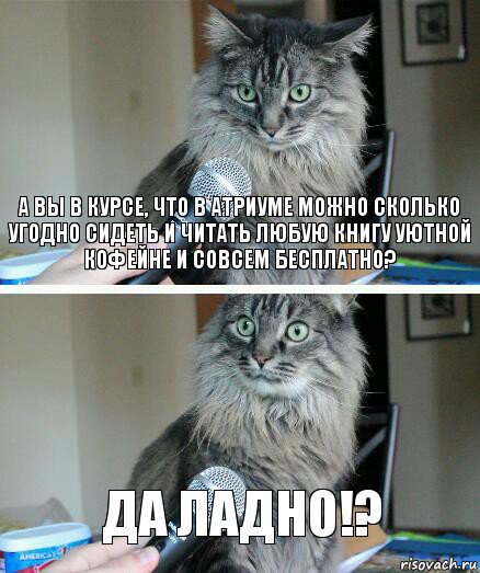 А вы в курсе, что в Атриуме можно сколько угодно сидеть и читать любую книгу уютной кофейне и совсем бесплатно? да ладно!?, Комикс  кот с микрофоном