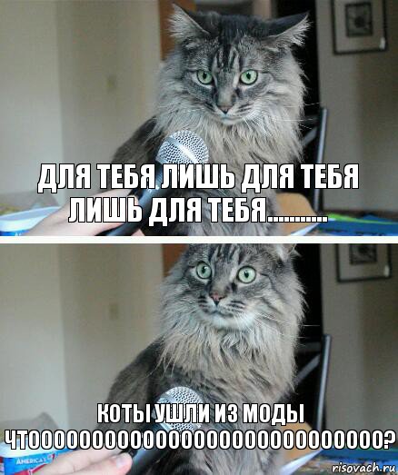 для тебя лишь для тебя лишь для тебя........... коты ушли из моды
Чтоооооооооооооооооооооооооооо?, Комикс  кот с микрофоном