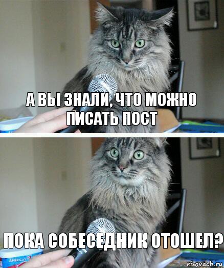 А вы знали, что можно писать пост пока собеседник отошел?, Комикс  кот с микрофоном