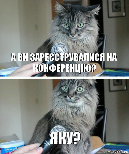 А Ви зареєструвалися на конференцію? яку?, Комикс  кот с микрофоном