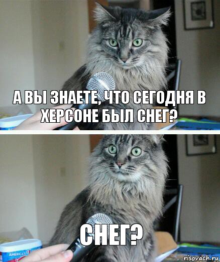 а вы знаете, что сегодня в херсоне был снег? снег?, Комикс  кот с микрофоном