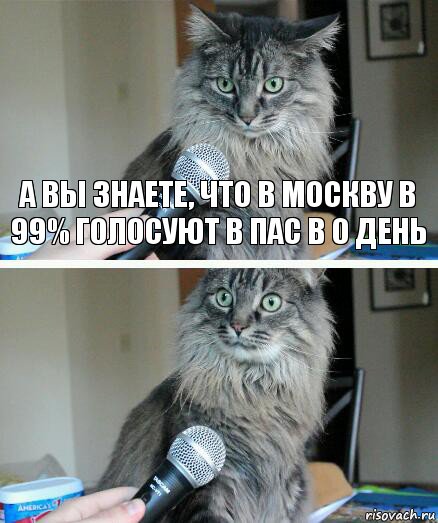 А вы знаете, что в Москву в 99% голосуют в пас в 0 день , Комикс  кот с микрофоном