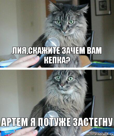 Лия,скажите зачем вам кепка? Артем я потуже застегну, Комикс  кот с микрофоном