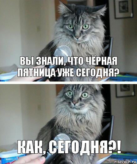 Вы знали, что Чёрная пятница уже сегодня? Как, сегодня?!, Комикс  кот с микрофоном