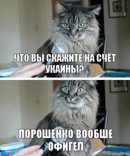 что вы скажите на счёт укаины? порошенко вообше офигел, Комикс  кот с микрофоном