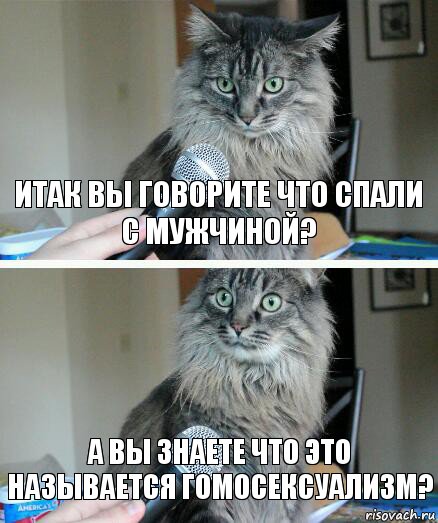 Итак вы говорите что спали с мужчиной? а вы знаете что это называется гомосексуализм?, Комикс  кот с микрофоном