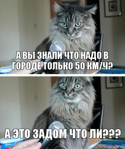 а вы знали что надо в городе только 50 км/ч? а это задом что ли???, Комикс  кот с микрофоном