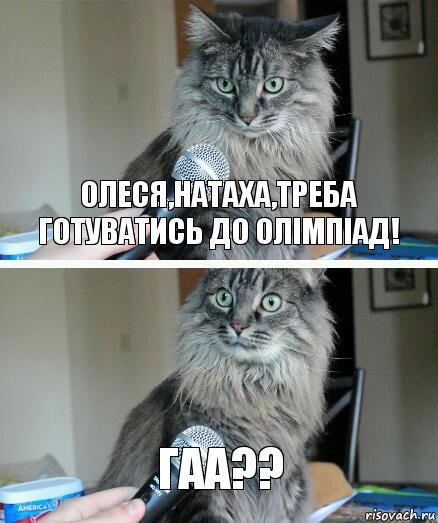 Олеся,Натаха,треба готуватись до олімпіад! Гаа??, Комикс  кот с микрофоном