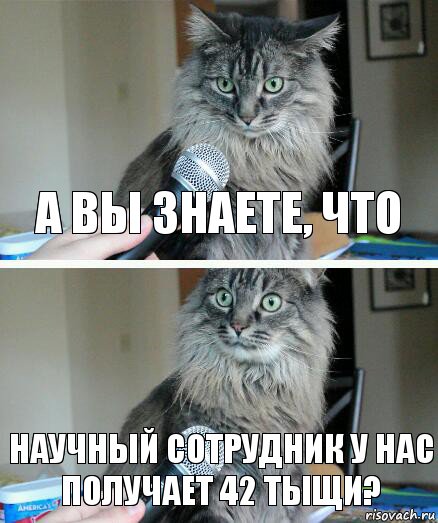 а вы знаете, что научный сотрудник у нас получает 42 тыщи?, Комикс  кот с микрофоном