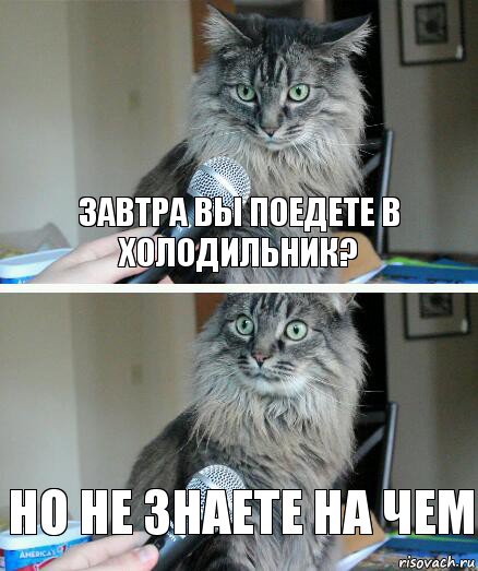 Завтра вы поедете в холодильник? Но не знаете на чем, Комикс  кот с микрофоном