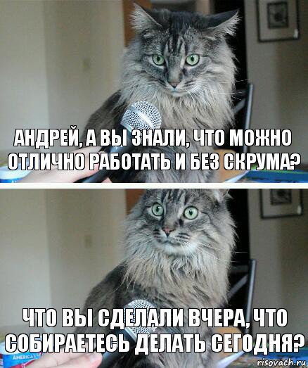 Андрей, а вы знали, что можно отлично работать и без скрума? Что вы сделали вчера, что собираетесь делать сегодня?, Комикс  кот с микрофоном