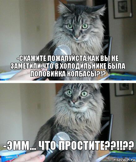 -Скажите пожалуйста,как вы не заметили,что в холодильнике была половинка колбасы?!? -Эмм... что простите??!!??, Комикс  кот с микрофоном