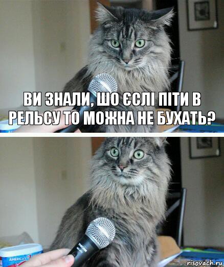 Ви знали, шо єслі піти в Рельсу то можна не бухать? , Комикс  кот с микрофоном