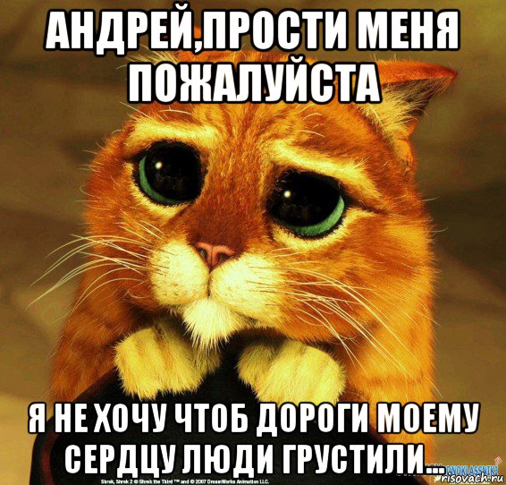 андрей,прости меня пожалуйста я не хочу чтоб дороги моему сердцу люди грустили..., Мем Котик из Шрека