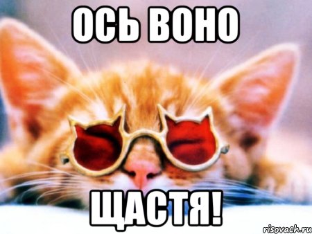 Ось воно щастя!