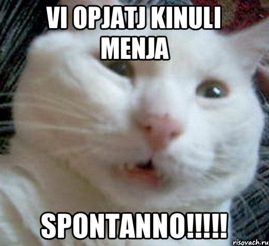 vi opjatj kinuli menja spontanno!!!!!, Мем Котэ позитивный