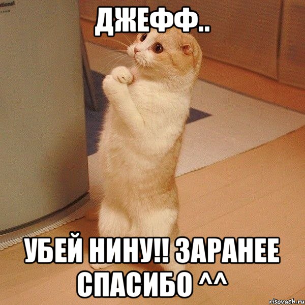 Джефф.. УБЕЙ НИНУ!! Заранее спасибо ^^, Мем  котэ молится