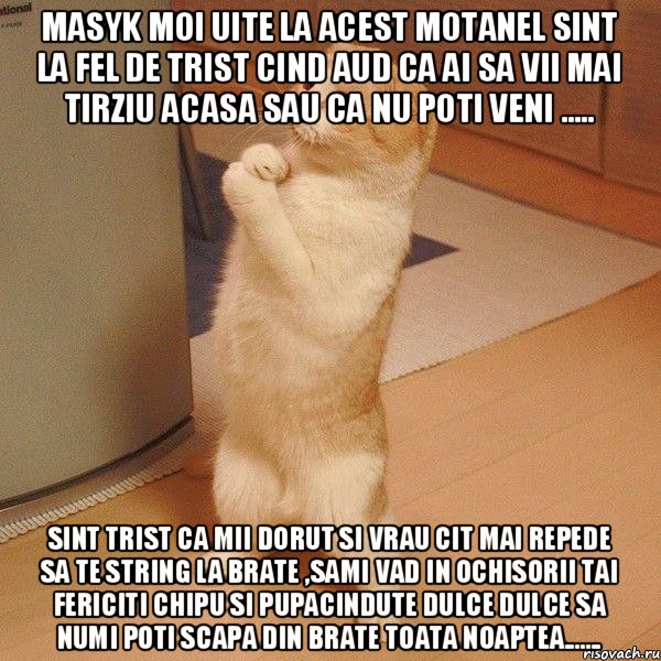 Masyk moi uite la acest motanel sint la fel de trist cind aud ca ai sa vii mai tirziu acasa sau ca nu poti veni ..... Sint trist ca mii dorut si vrau cit mai repede sa te string la brate ,sami vad in ochisorii tai fericiti chipu si pupacindute dulce dulce sa numi poti scapa din brate toata noaptea......., Мем  котэ молится