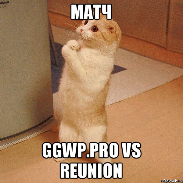 Матч GGWP.Pro vs REUNION, Мем  котэ молится