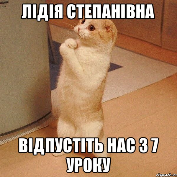 Лідія Степанівна Відпустіть нас з 7 уроку, Мем  котэ молится