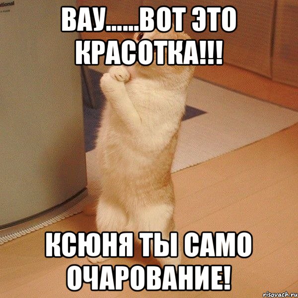 ВАУ......ВОТ ЭТО КРАСОТКА!!! КСЮНЯ ТЫ САМО ОЧАРОВАНИЕ!, Мем  котэ молится