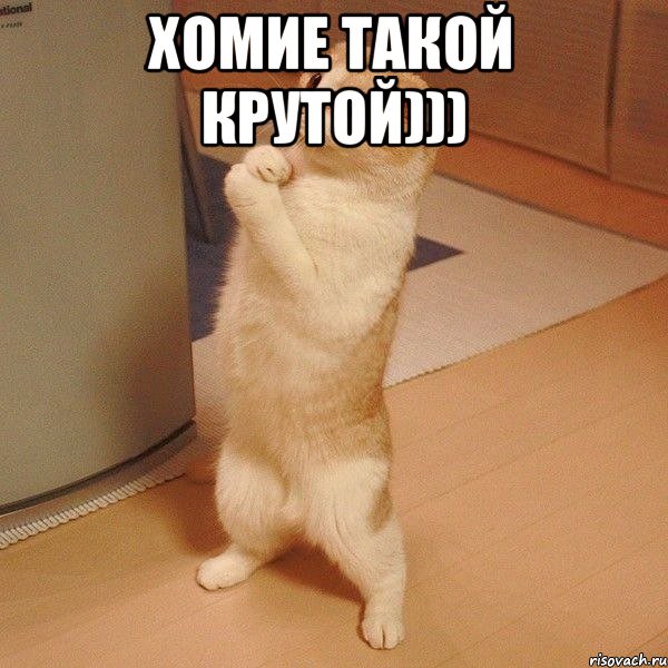 хомие такой крутой))) , Мем  котэ молится