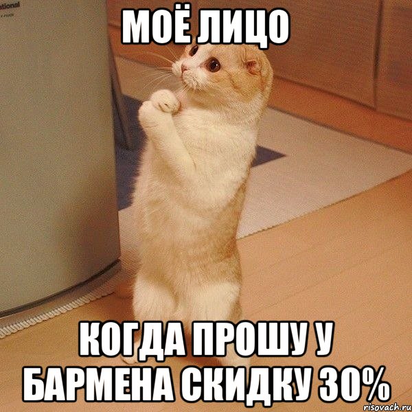 Моё лицо Когда прошу у бармена скидку 30%, Мем  котэ молится