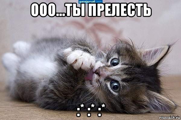 ооо...ты прелесть :* :* :*, Мем  котенок