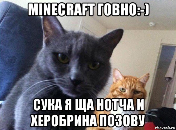 minecraft говно:-) сука я ща нотча и херобрина позову, Мем  Два котэ