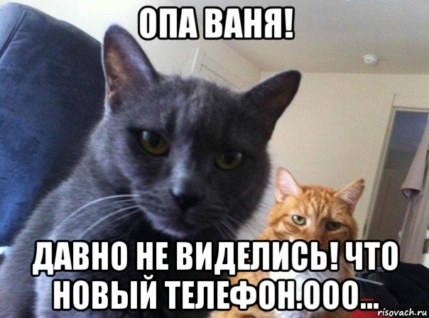 опа ваня! давно не виделись! что новый телефон.ооо..., Мем  Два котэ