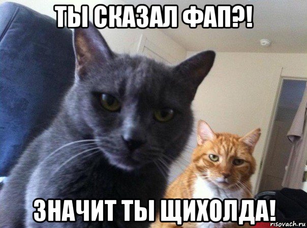 ты сказал фап?! значит ты щихолда!, Мем  Два котэ