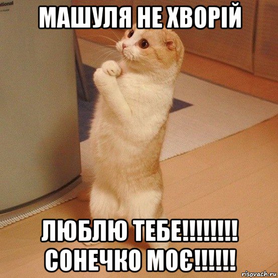 машуля не хворій люблю тебе!!!!!!!! сонечко моє!!!!!!, Мем  котэ молится