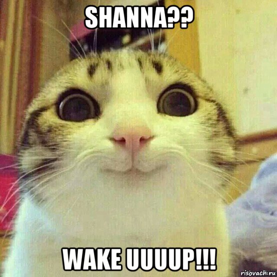 shanna?? wake uuuup!!!, Мем       Котяка-улыбака