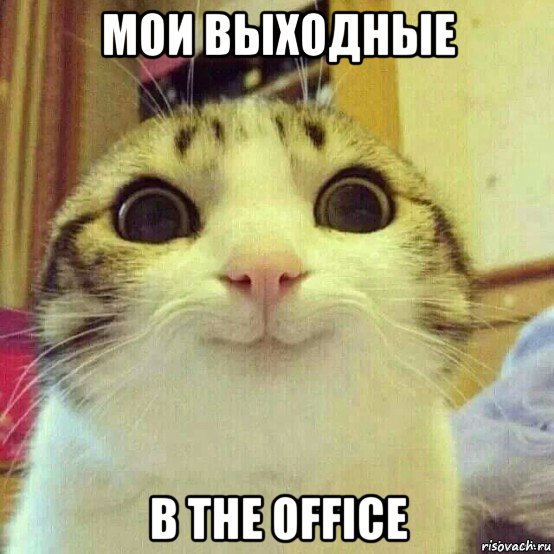 мои выходные в the office, Мем       Котяка-улыбака