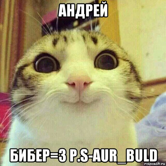 андрей бибер=3 p.s-aur_buld, Мем       Котяка-улыбака