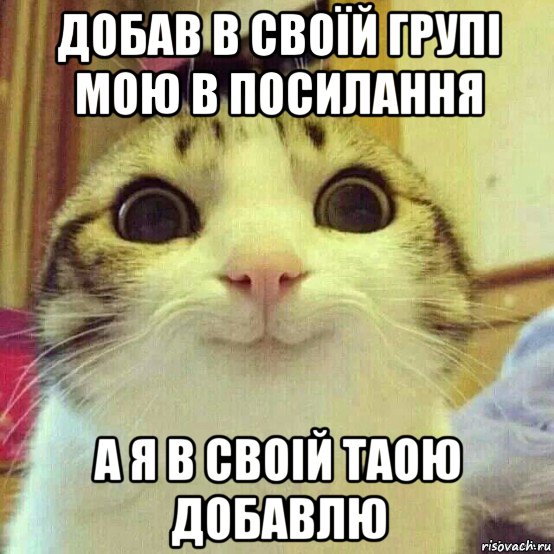 добав в своїй групі мою в посилання а я в своій таою добавлю, Мем       Котяка-улыбака