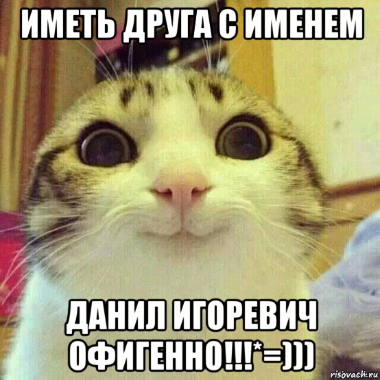 иметь друга с именем данил игоревич офигенно!!!*=))), Мем       Котяка-улыбака