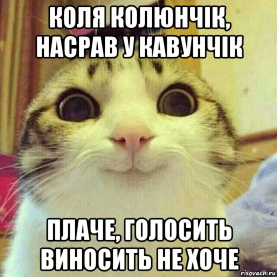 коля колюнчік, насрав у кавунчік плаче, голосить виносить не хоче, Мем       Котяка-улыбака