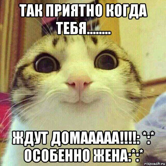 так приятно когда тебя........ ждут домааааа!!!!: *:* особенно жена:*:*, Мем       Котяка-улыбака