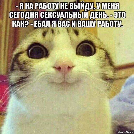 - я на работу не выйду, у меня сегодня сексуальный день. - это как? - ебал я вас и вашу работу. , Мем       Котяка-улыбака