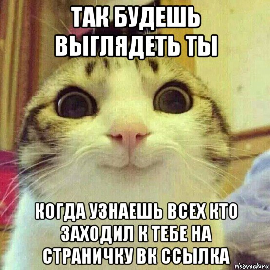 так будешь выглядеть ты когда узнаешь всех кто заходил к тебе на страничку вк ссылка, Мем       Котяка-улыбака